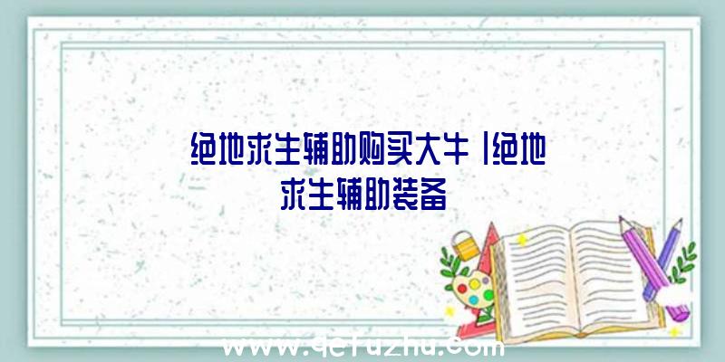 「绝地求生辅助购买大牛」|绝地求生辅助装备